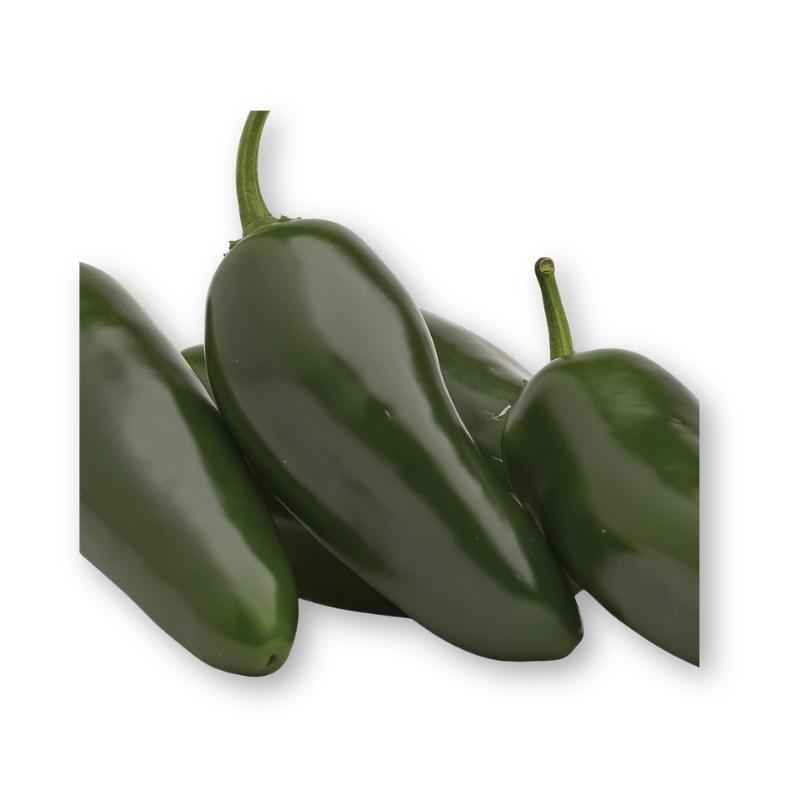 Campeón