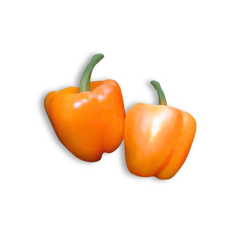 Orenji
