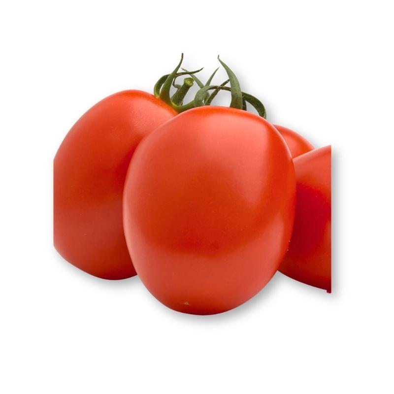 Super Óptimo