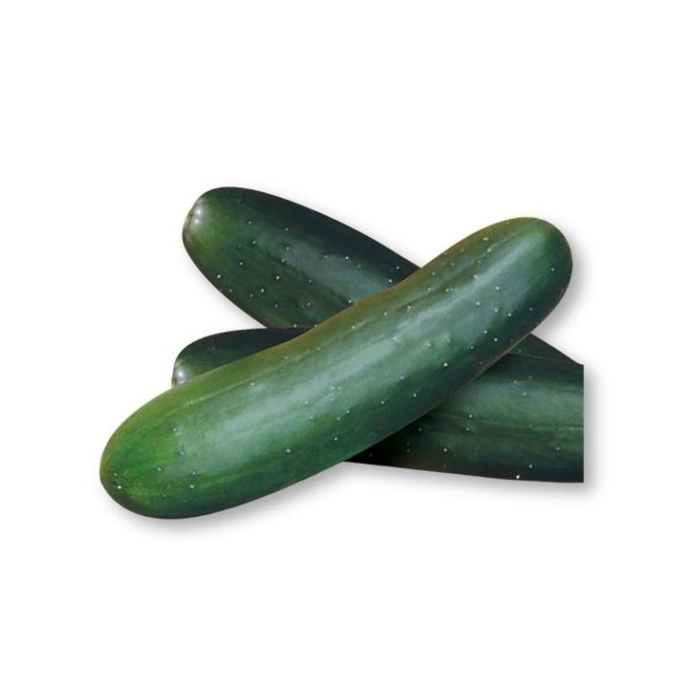 Slice More