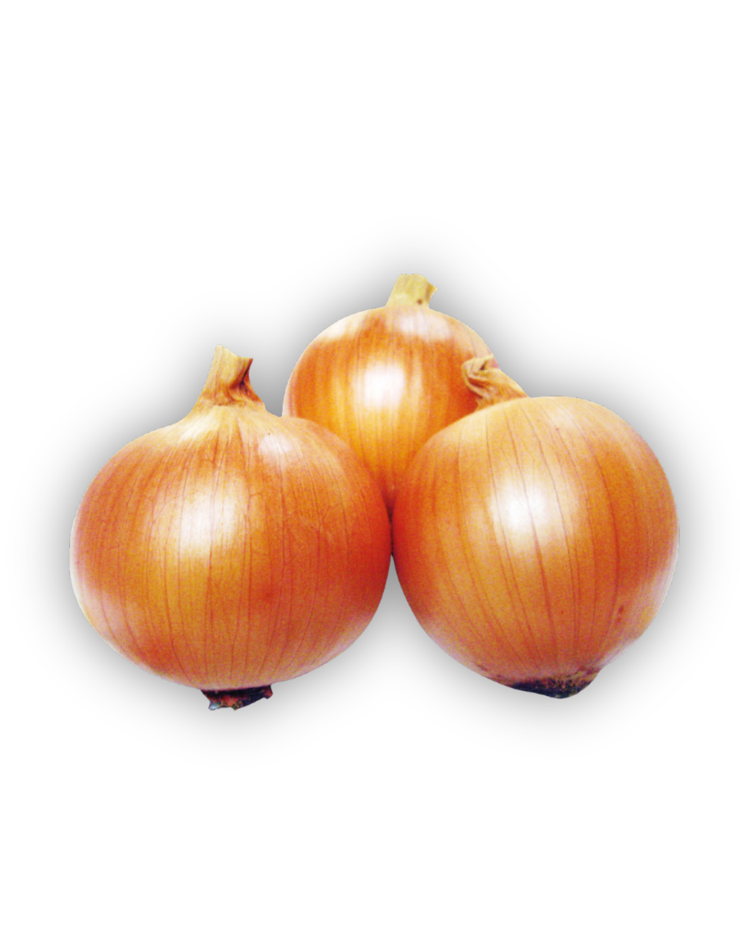 Bella Dura